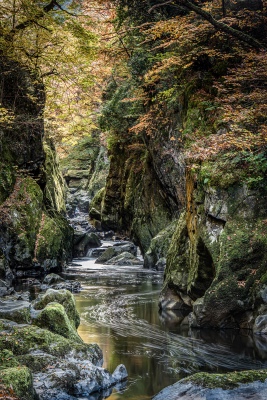  Fairy Glen