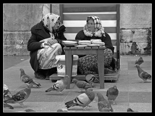 Pigeon food sellers