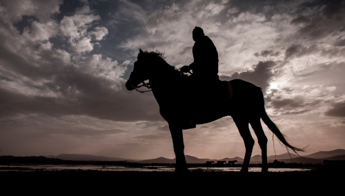 HORSEMAN IN ANATO...IAN STEPPE