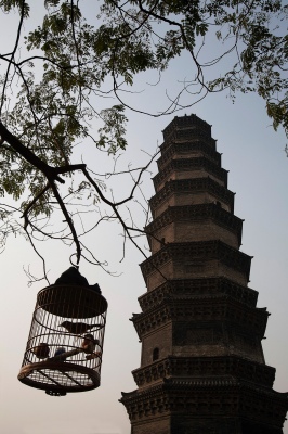 TOWER IN CHINA