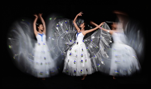 Peacock dance