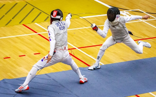 Fencing 1