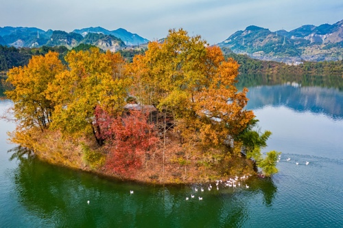 Mid-lake Island