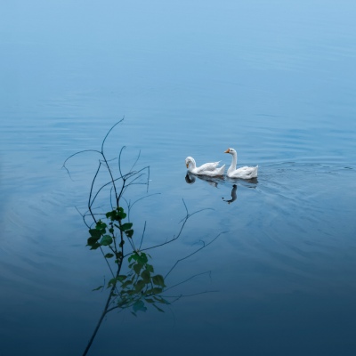 Water shadow