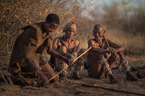 Life of Bushman