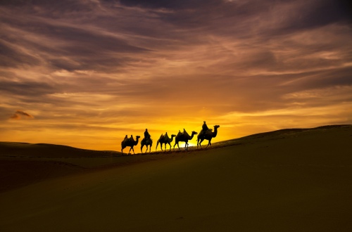 Camel bell in the desert