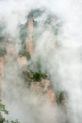 In The Mist Mountian