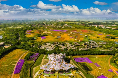 Flower world