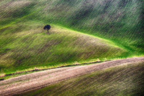 BASILICATA LANDSCAPE 5