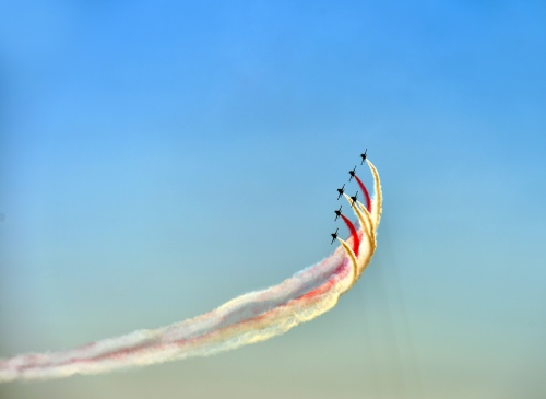 fly6