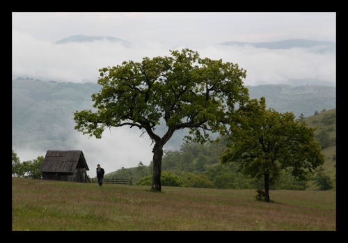 THE FARM