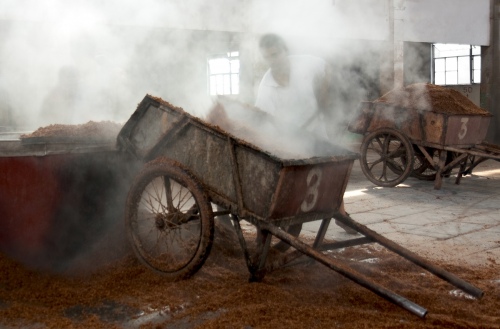  THE CART