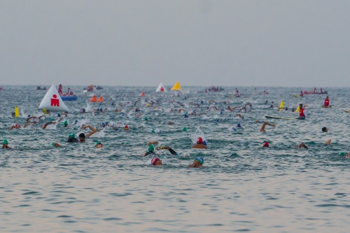 Swimmers