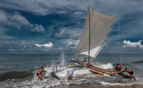 Into the Sea