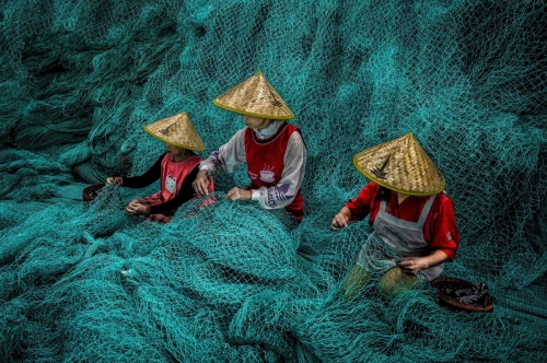 Working with Nets