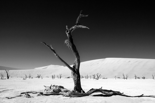 Deadvlei 1