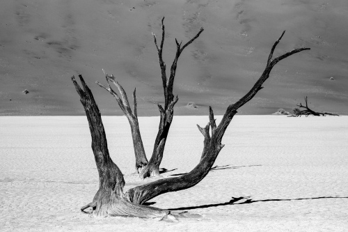 Deadvlei 3