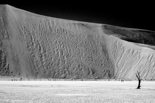 Deadvlei 4