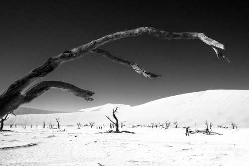Deadvlei 5