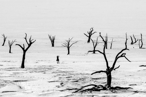 Deadvlei 6