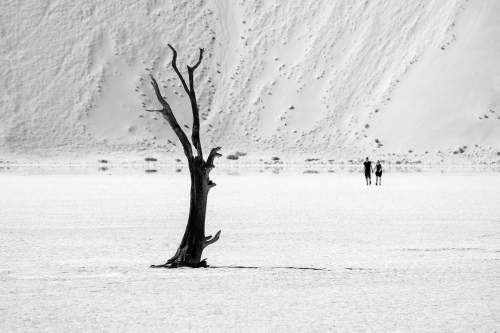 Deadvlei 7