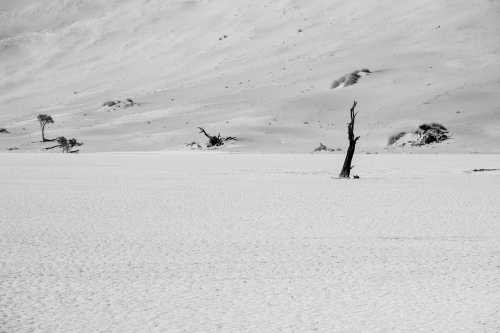 Deadvlei 8
