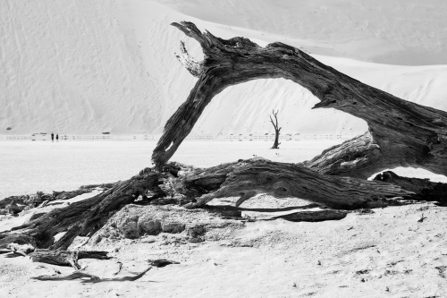 Deadvlei 9