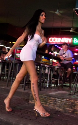 Beauties of the night 4