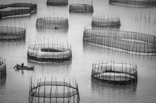 Wolfgang Tat Chi Lin