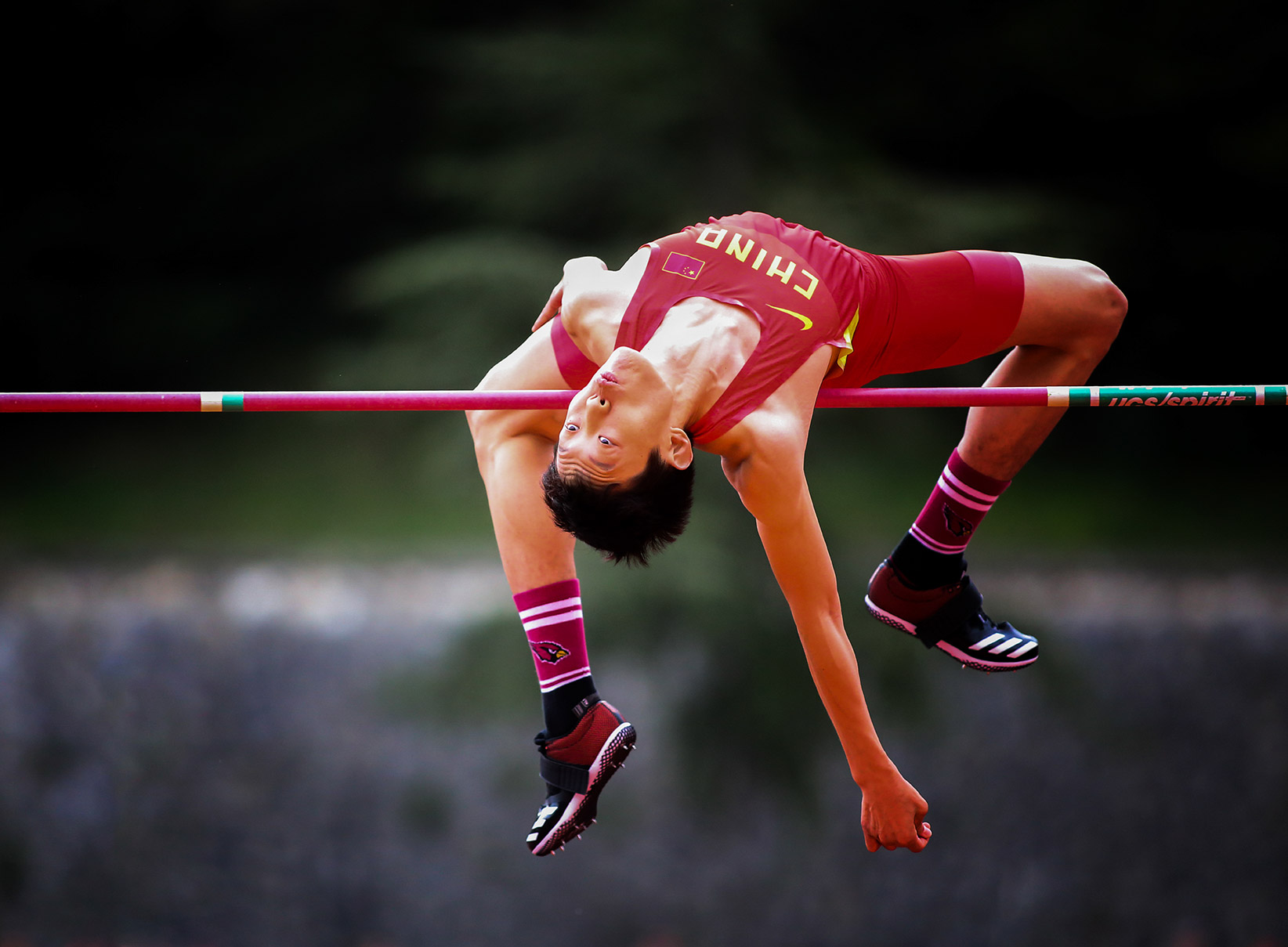 Agnesoni Mauro - Chinese Jumper (Italy)